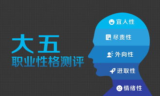 倍智 人才測(cè)評(píng) 管理咨詢 培訓(xùn) 招聘于一體的人力資源綜合服務(wù)商 官網(wǎng)