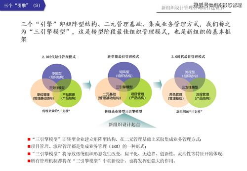 新組織設(shè)計(jì)管理咨詢項(xiàng)目建議書